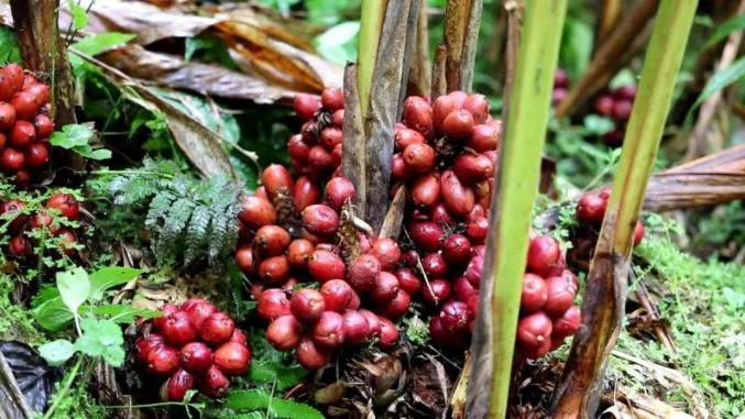 16304830778116433796.jpg 8.jpg