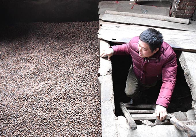 16323821348339856476.jpg 8.jpg