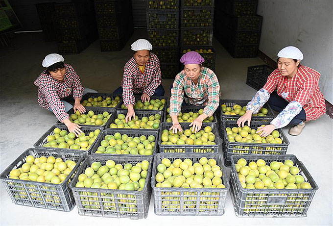 16323821732467313304.jpg 8.jpg