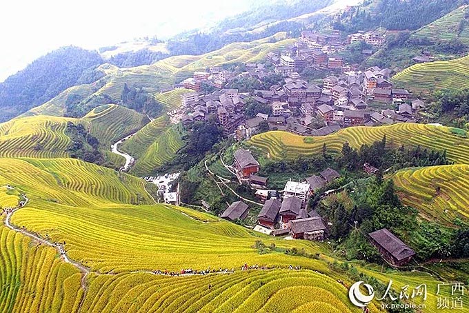 16323821967433181277.jpg 8.jpg