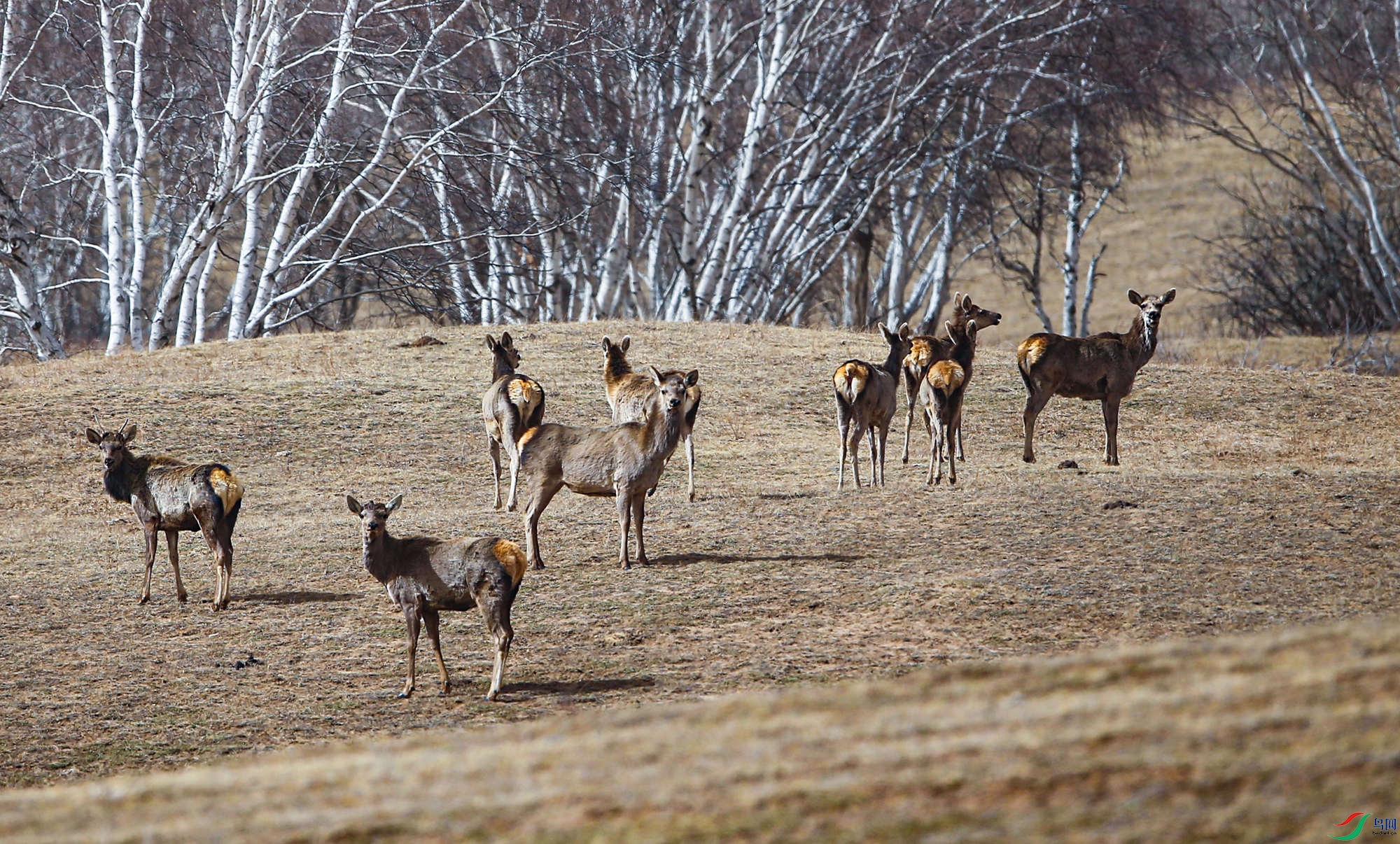 16329049165008223539.jpg 8.jpg