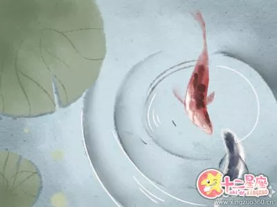 宗教信仰 宗教信仰