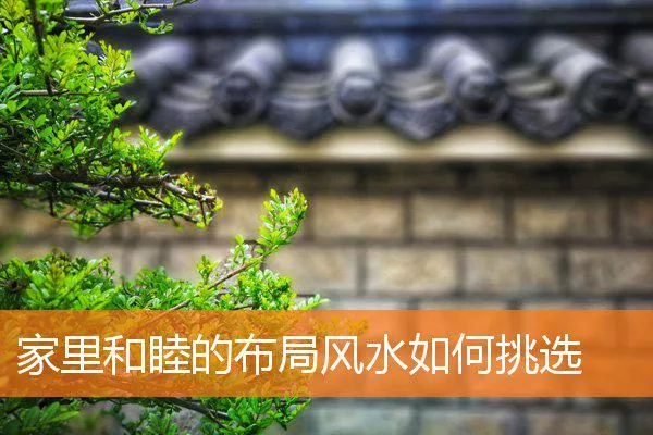 0ae036aaba30619a0220b4b27018a83ee299fbd1.webp