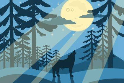 风水摆设家中放什么东西 风水饰品