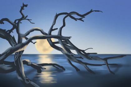 家居招小人的风水 什么风水招小人