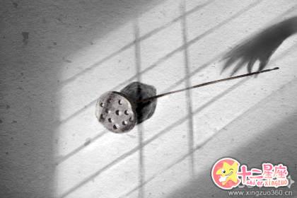 扫墓风水需要注意哪些方面 扫墓风水需要注意哪些方面