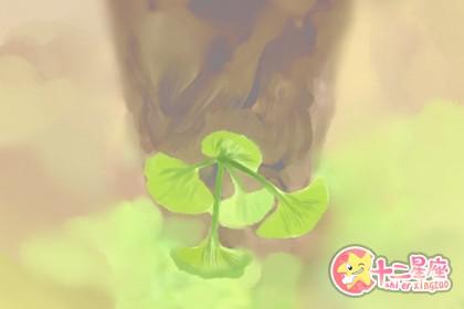 新坟地怎么看出好风水 不详的墓地分析