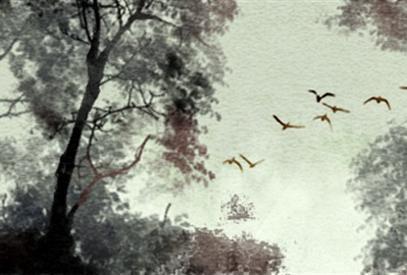 客厅风水植物有哪些 客厅最旺宅的植物