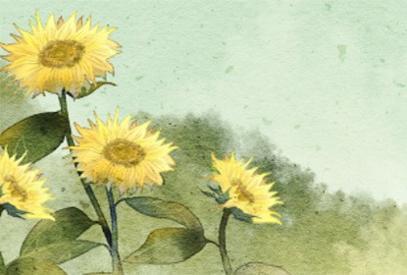 家里最旺财的十种花 十大寓意吉利的花 家里最旺财的十种花 十大寓意吉利的花