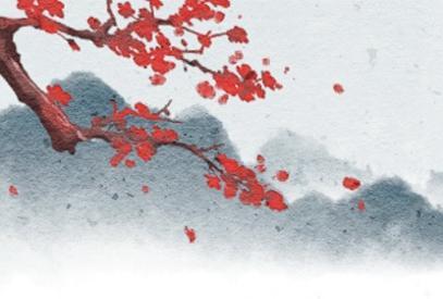 家里最旺财的十种花 十大寓意吉利的花 家里最旺财的十种花 十大寓意吉利的花