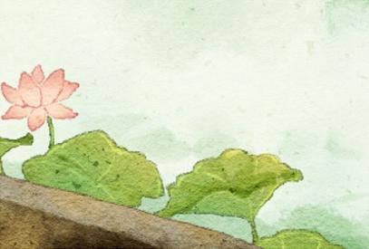 镇宅招财旺人的植物 什么植物招财挡煞气 镇宅招财旺人的植物 什么植物招财挡煞气