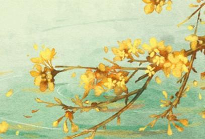 家里最旺财的十种花 十大寓意吉利的花 家里最旺财的十种花 十大寓意吉利的花