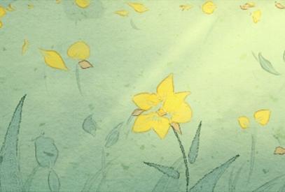 十种旺财又旺宅的植物 最旺宅的植物有哪些 十种旺财又旺宅的植物 最旺宅的植物有哪些