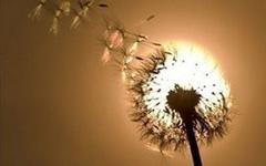 一次难忘的拥抱