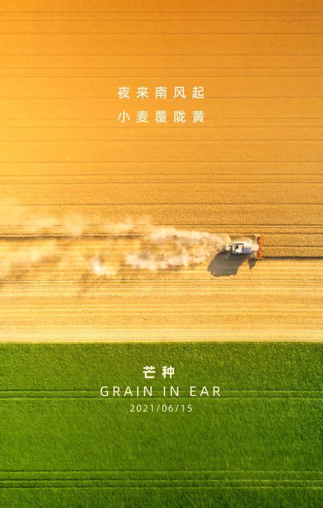 芒种图片配图大全简单，芒种朋友圈文案图片说说句子