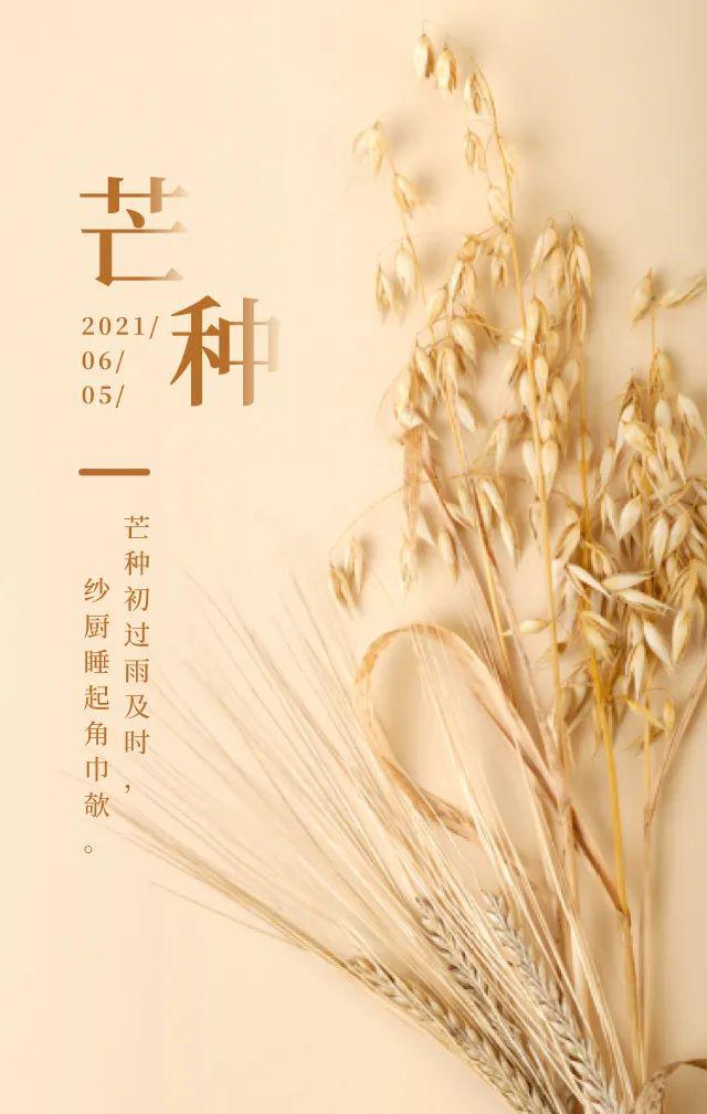 芒种图片配图大全简单，芒种朋友圈文案图片说说句子