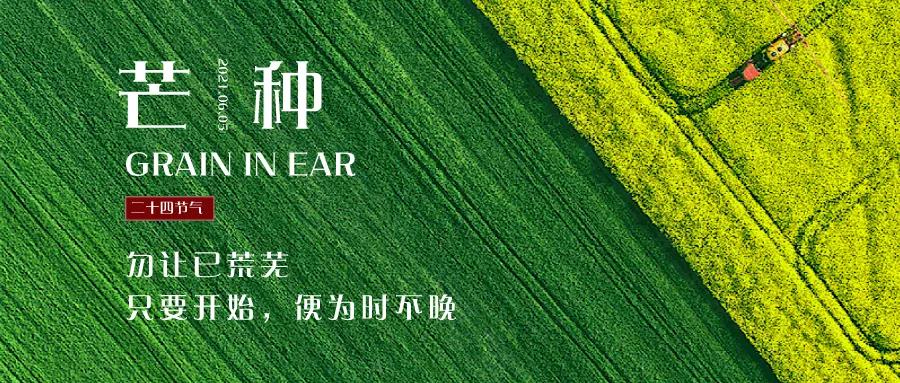 芒种图片配图大全简单，芒种朋友圈文案图片说说句子