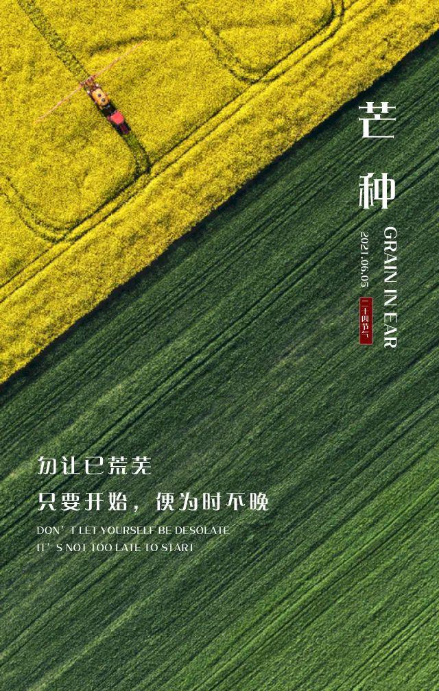 芒种图片配图大全简单，芒种朋友圈文案图片说说句子