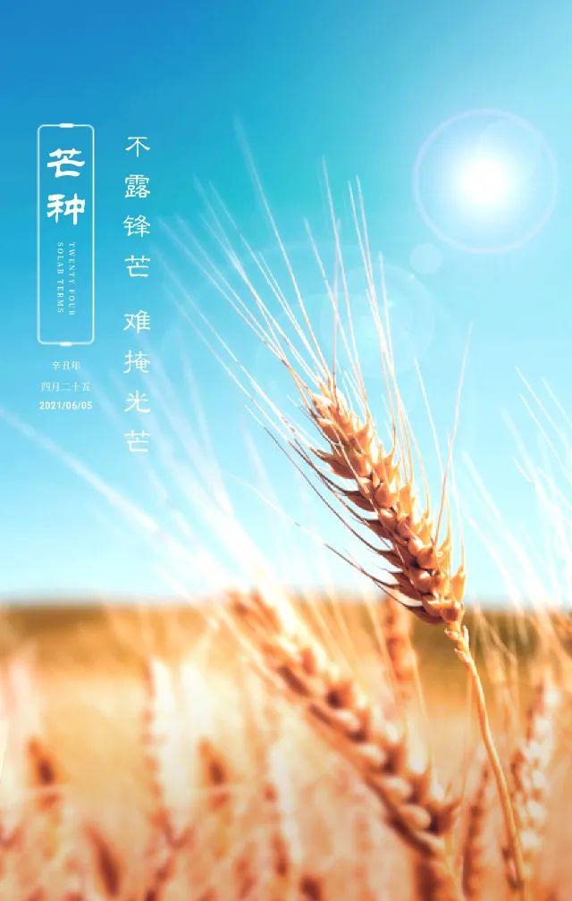 芒种图片配图大全简单，芒种朋友圈文案图片说说句子