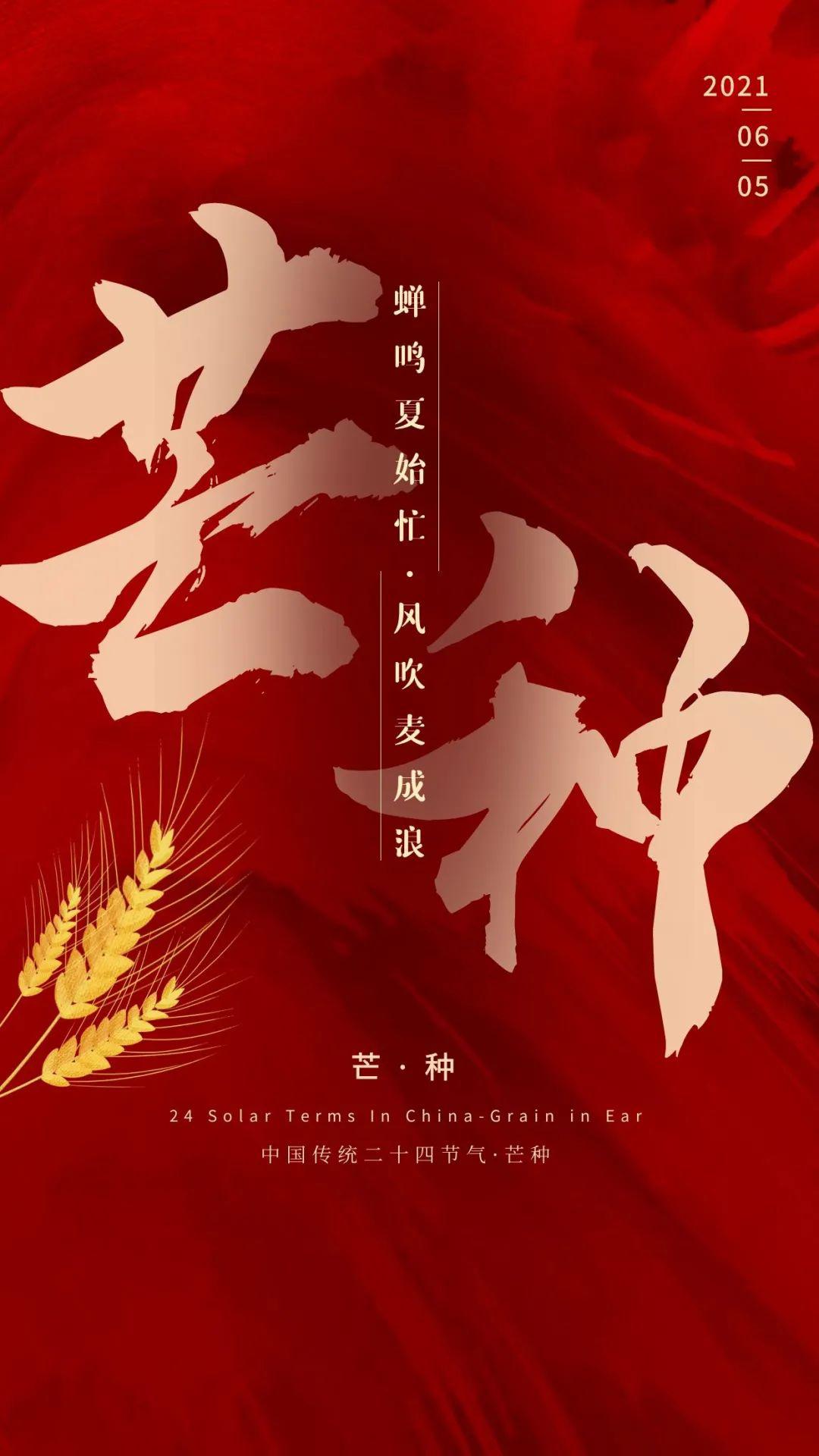 芒种图片配图大全简单，芒种朋友圈文案图片说说句子