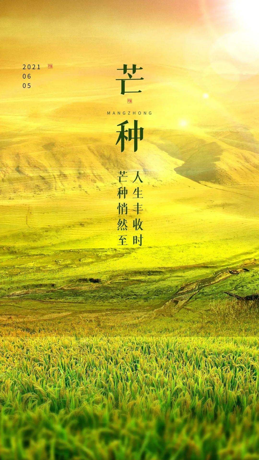 芒种图片配图大全简单，芒种朋友圈文案图片说说句子