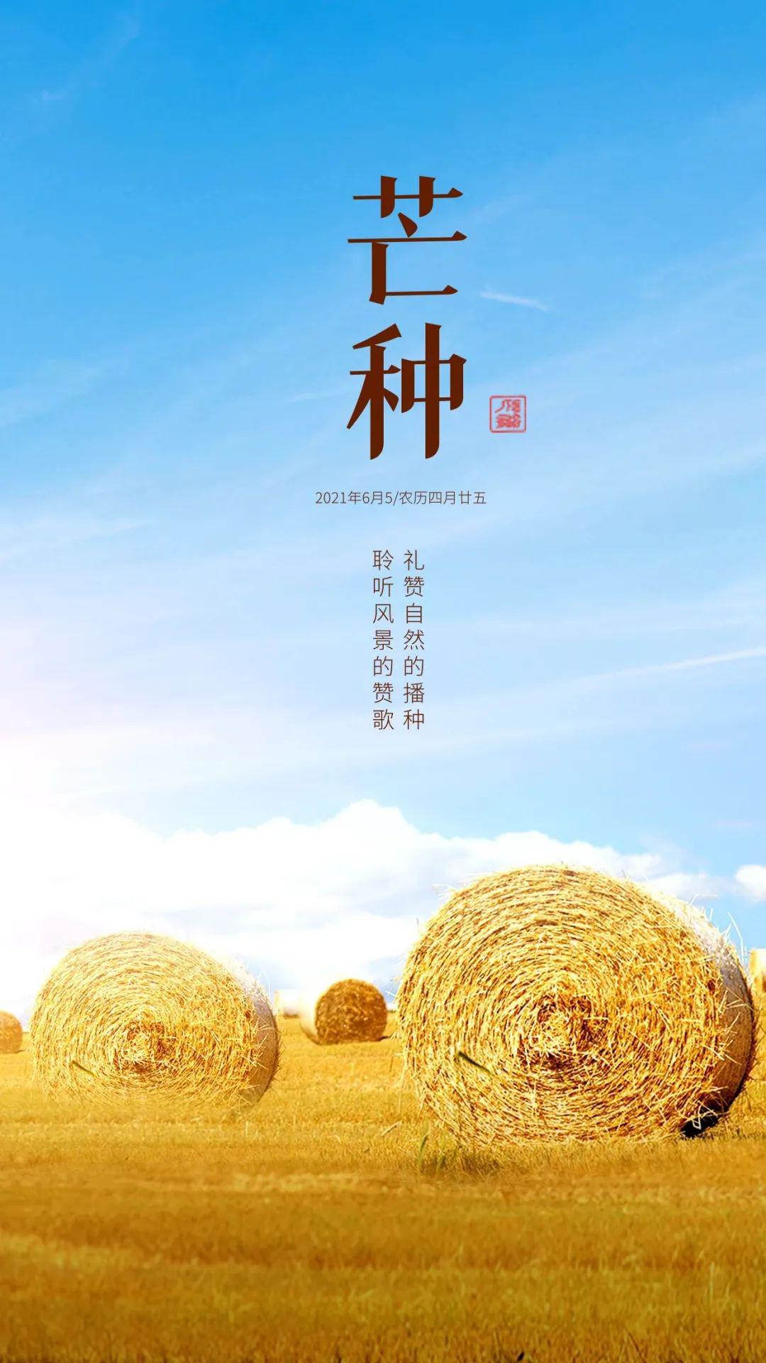 芒种图片配图大全简单，芒种朋友圈文案图片说说句子