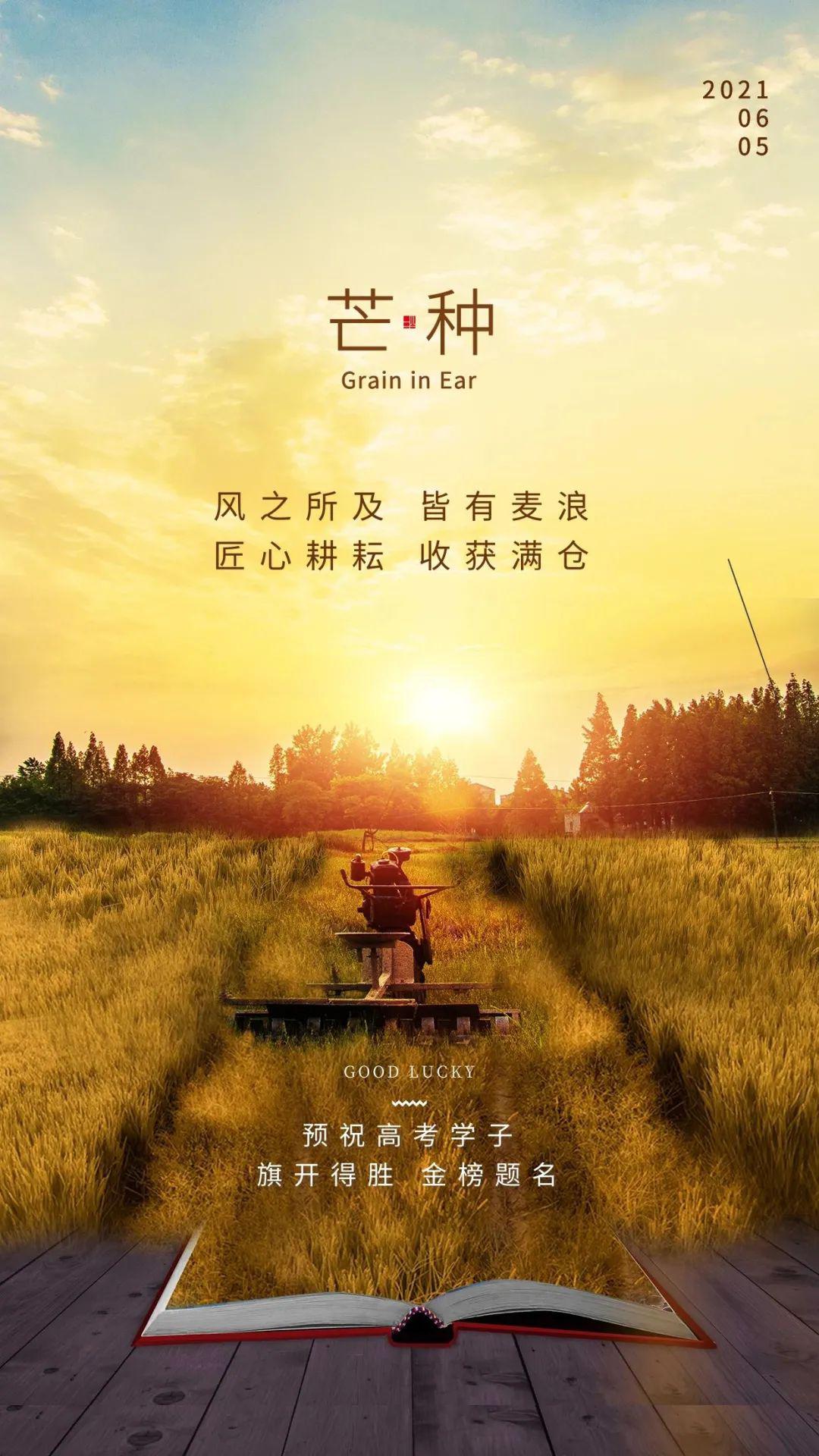 芒种图片配图大全简单，芒种朋友圈文案图片说说句子