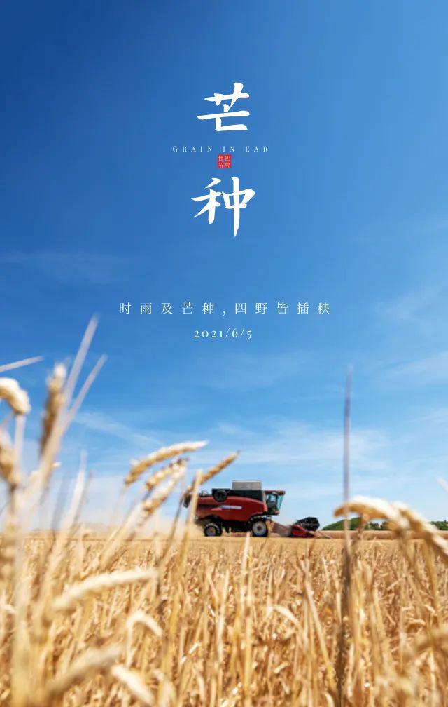 芒种图片配图大全简单，芒种朋友圈文案图片说说句子