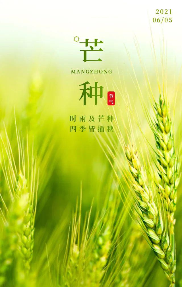 芒种图片配图大全简单，芒种朋友圈文案图片说说句子