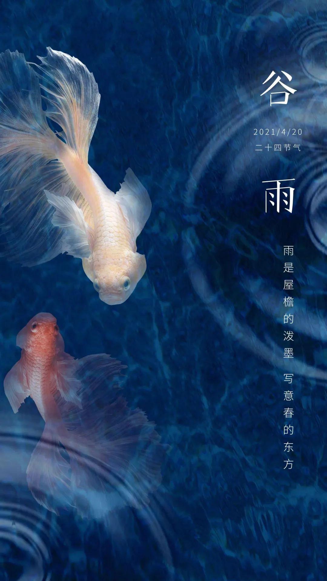 谷雨图片配图大全简单打字，谷雨朋友圈祝福问候文案说说