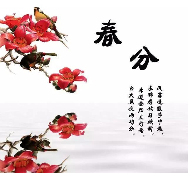 2022春分简短祝福语,春分问候图片