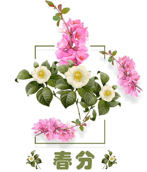 2022春分简短祝福语,春分问候图片