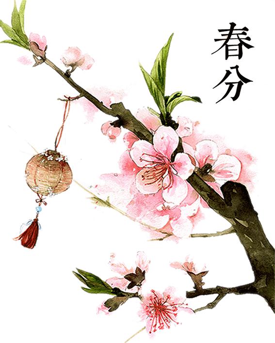 2022春分简短祝福语,春分问候图片