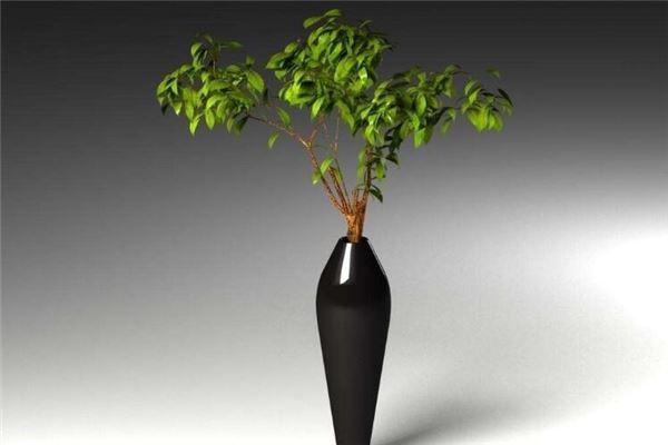 202110070917017984.jpg