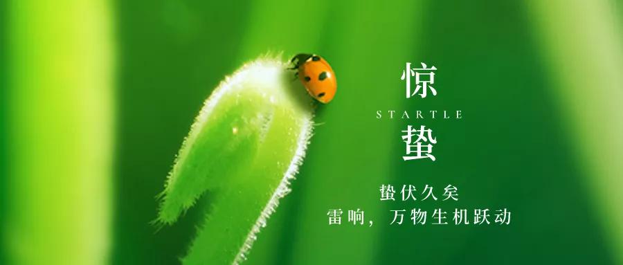 惊蛰图片配图海报大全带字简单,惊蛰祝福问候说说文案句子