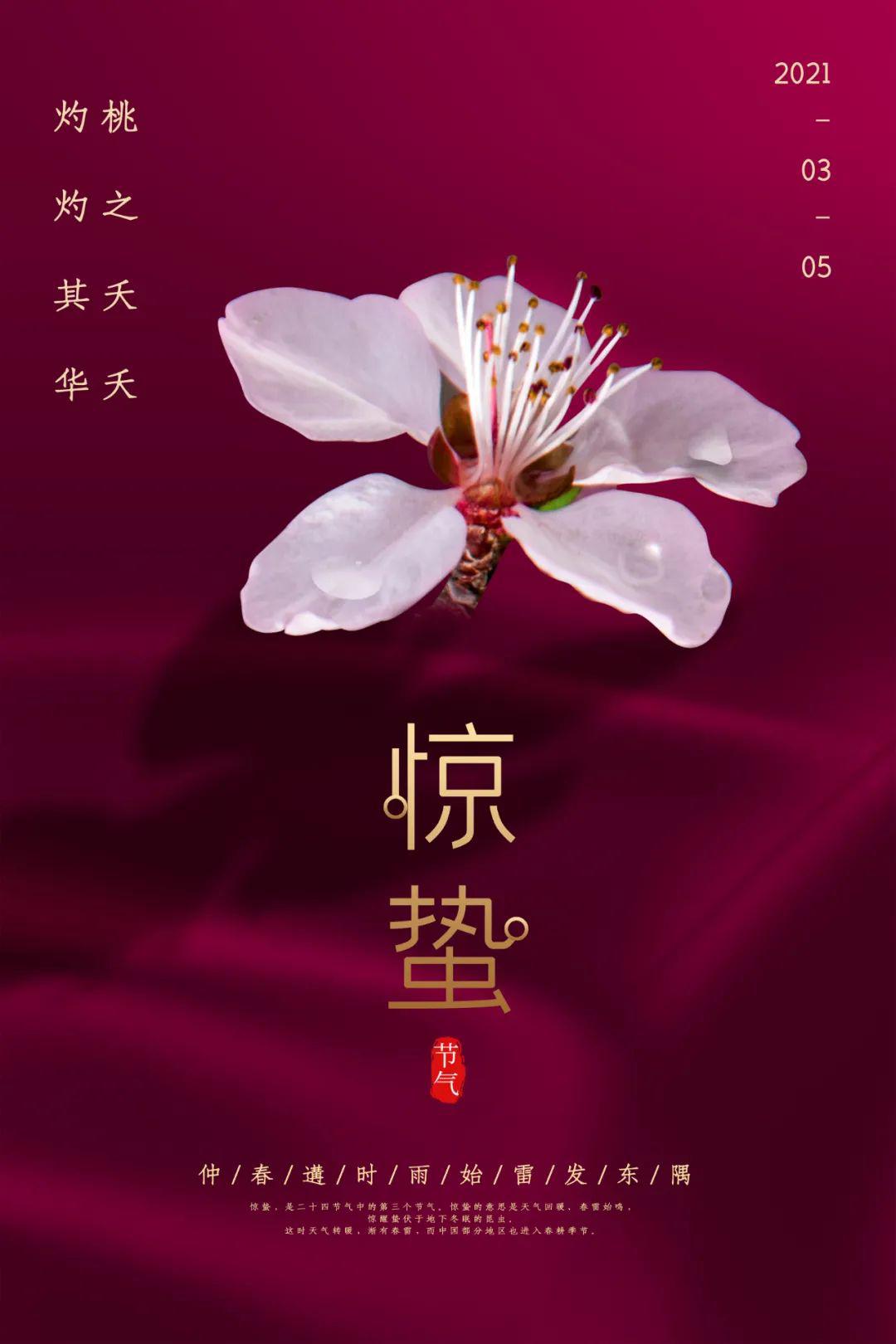 惊蛰图片配图海报大全带字简单,惊蛰祝福问候说说文案句子