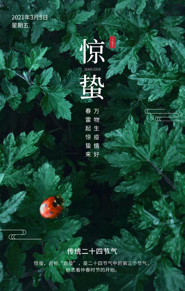 惊蛰图片配图海报大全带字简单,惊蛰祝福问候说说文案句子