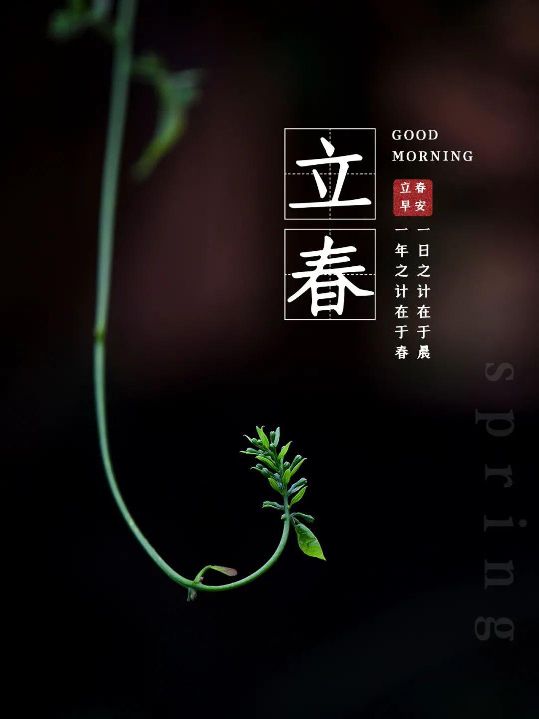 立春配图海报图片大全带字简单，立春微信问候文案句子