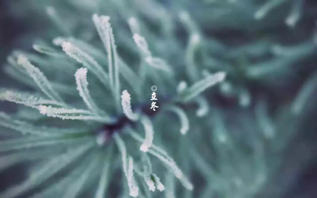 立冬节气寄语祝福语句配图