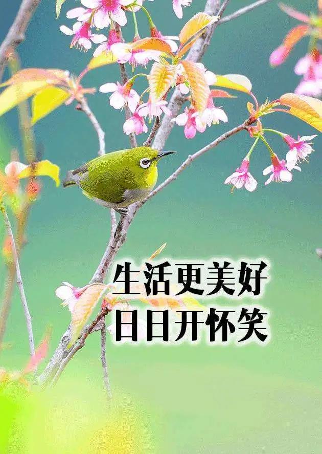 大暑的简短祝词祝语配图