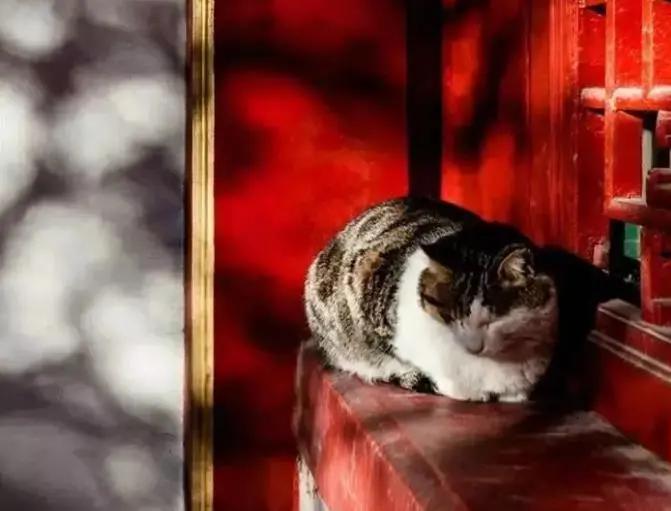 小满美文：夏天最可爱的节气