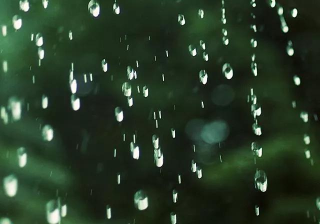 雨水节气黑板报内容摘选