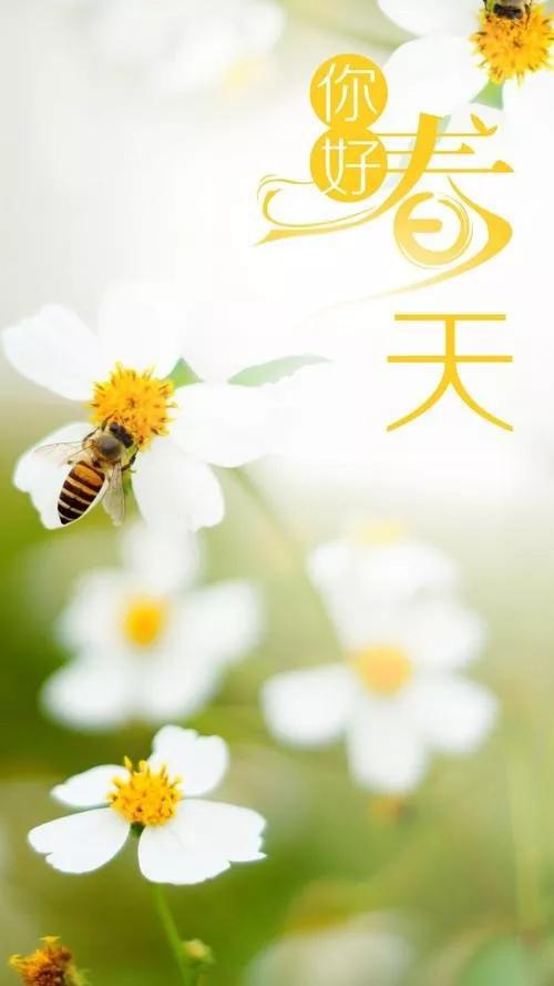 春天的图片配图大全，春天的祝福语句子简短