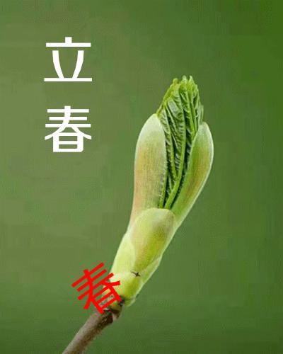 立春的祝词祝福带图片