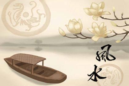 办公室放什么花最旺财 有何禁忌 办公室放什么花最旺财 有何禁忌