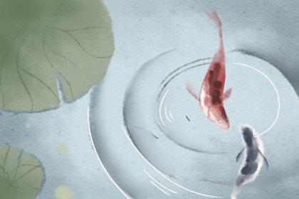办公桌朝向风水禁忌 有何说法