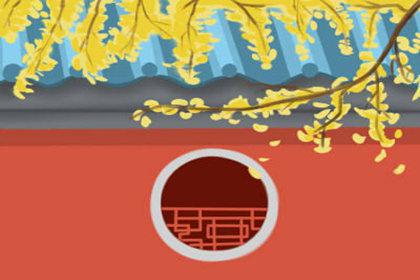 办公室摆放过多植物的风水后果 办公室摆放过多植物的风水后果