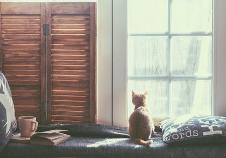 1968年属猴的人2021年运程