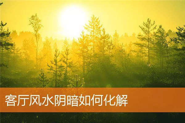 279bd785ad1fbb37cc558e9dd91b7dcfeeb45349.webp