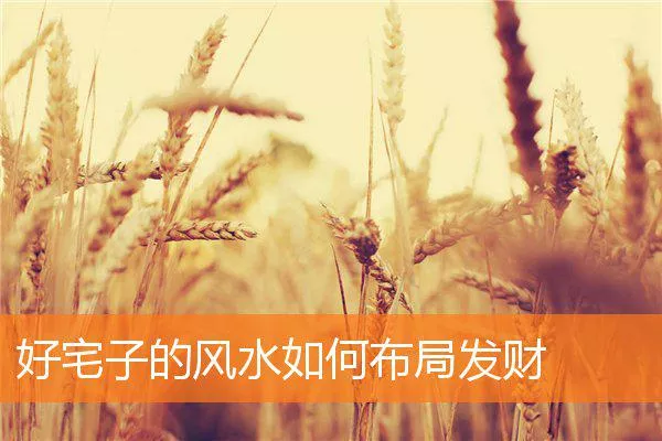 2a486caed5c2eb930f5e8c42f4cfc400cb3101c5.webp
